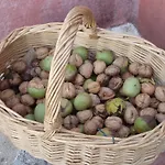 Casal Da Juge Agroturismo