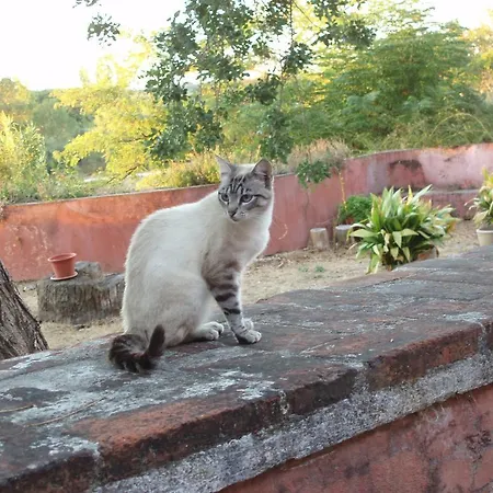 Casal Da Juge Torres Novas