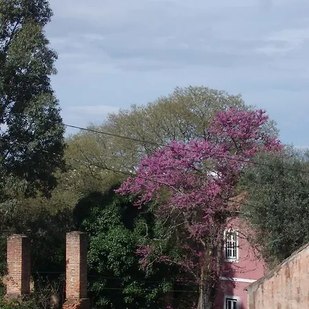 Casal Da Juge Torres Novas