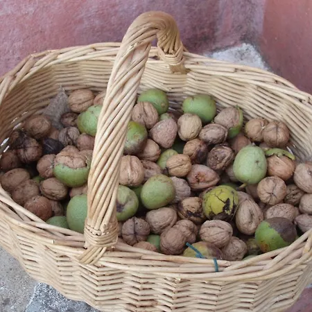 Casal Da Juge Farm stay