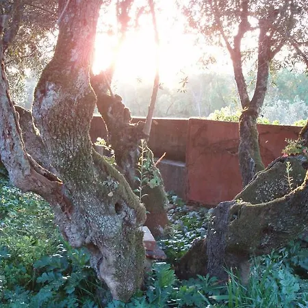 Bauernhof Casal Da Juge *