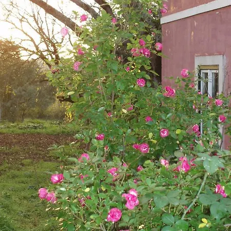 Casal Da Juge Farm stay Torres Novas