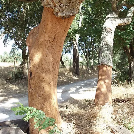 Casal Da Juge Torres Novas