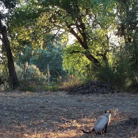 Casal Da Juge Torres Novas