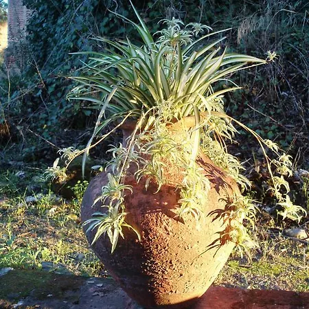 Bauernhof Casal Da Juge