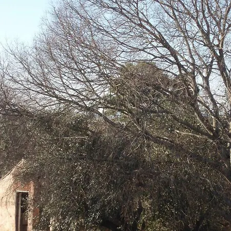 Casal Da Juge Feriegård