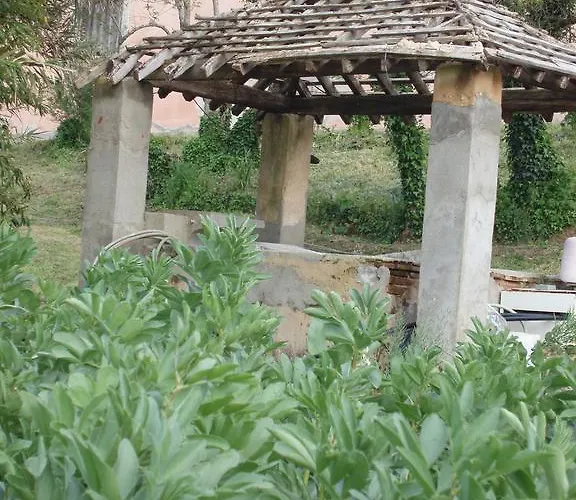 Casal Da Juge Farma *